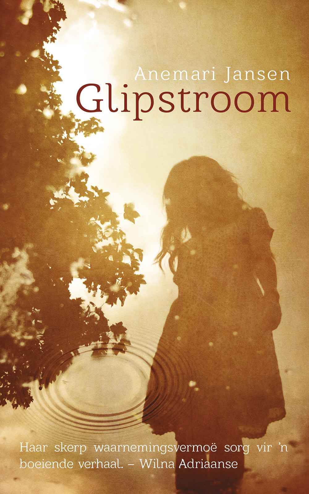 Glipstroom (Afrikaans Edition)