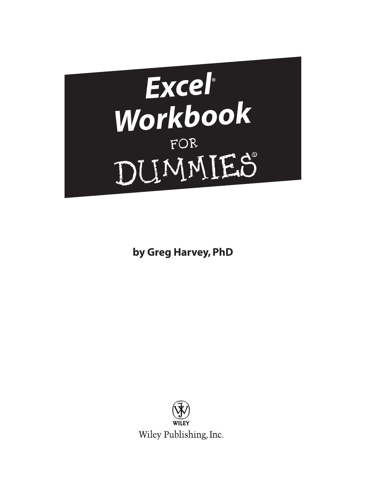 Excel Workbook for Dummies