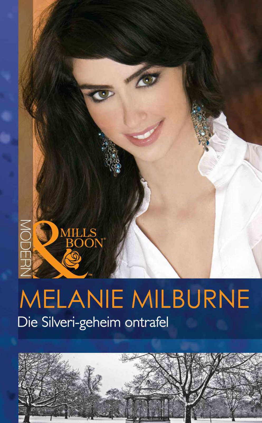 Die Silveri-geheim ontrafel (Modern) (Afrikaans Edition)