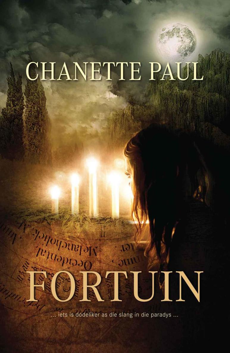 Fortuin - Boek 2