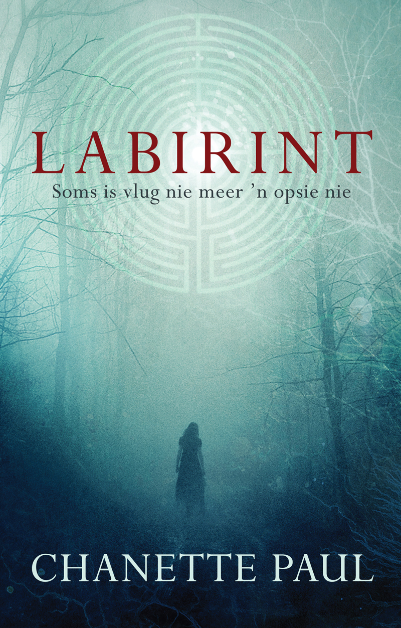 Labirint (Afrikaans Edition)
