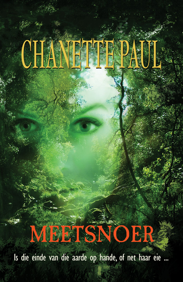 Meetsnoer - Boek 4