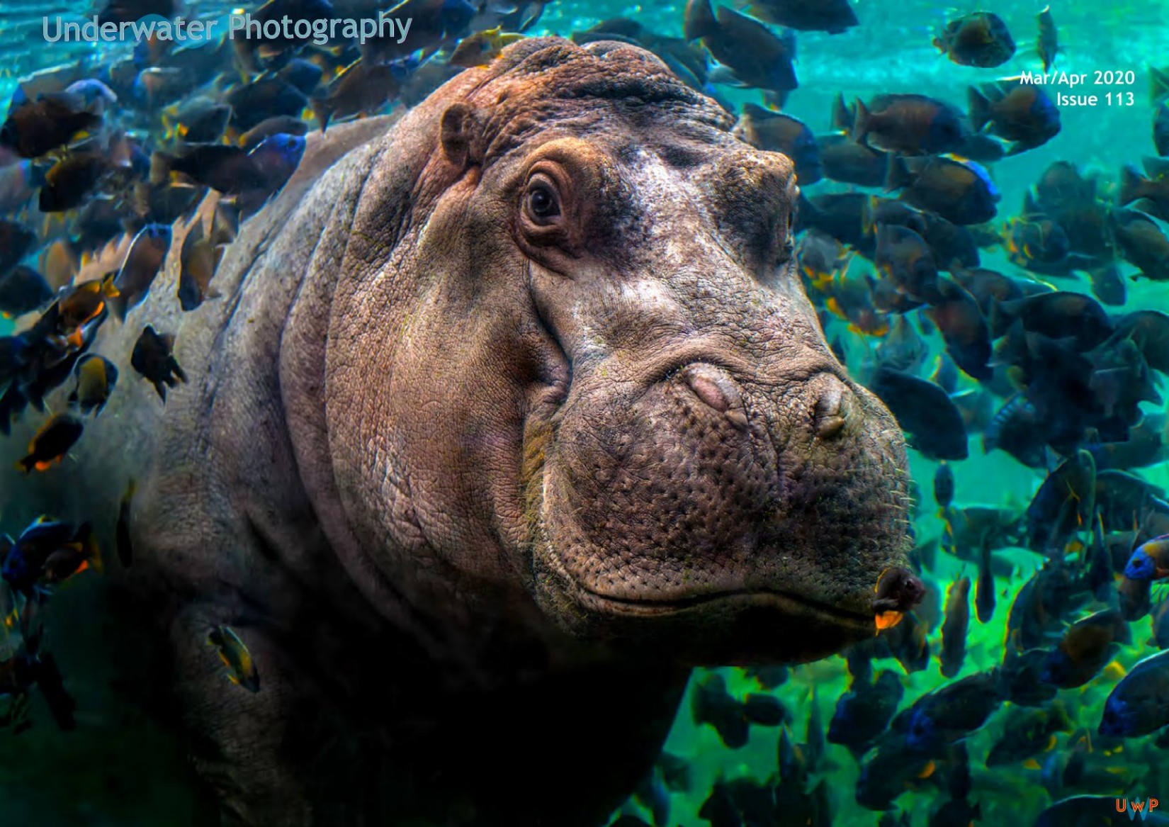 Underwater.Photography.TruePDF-March.April.2020