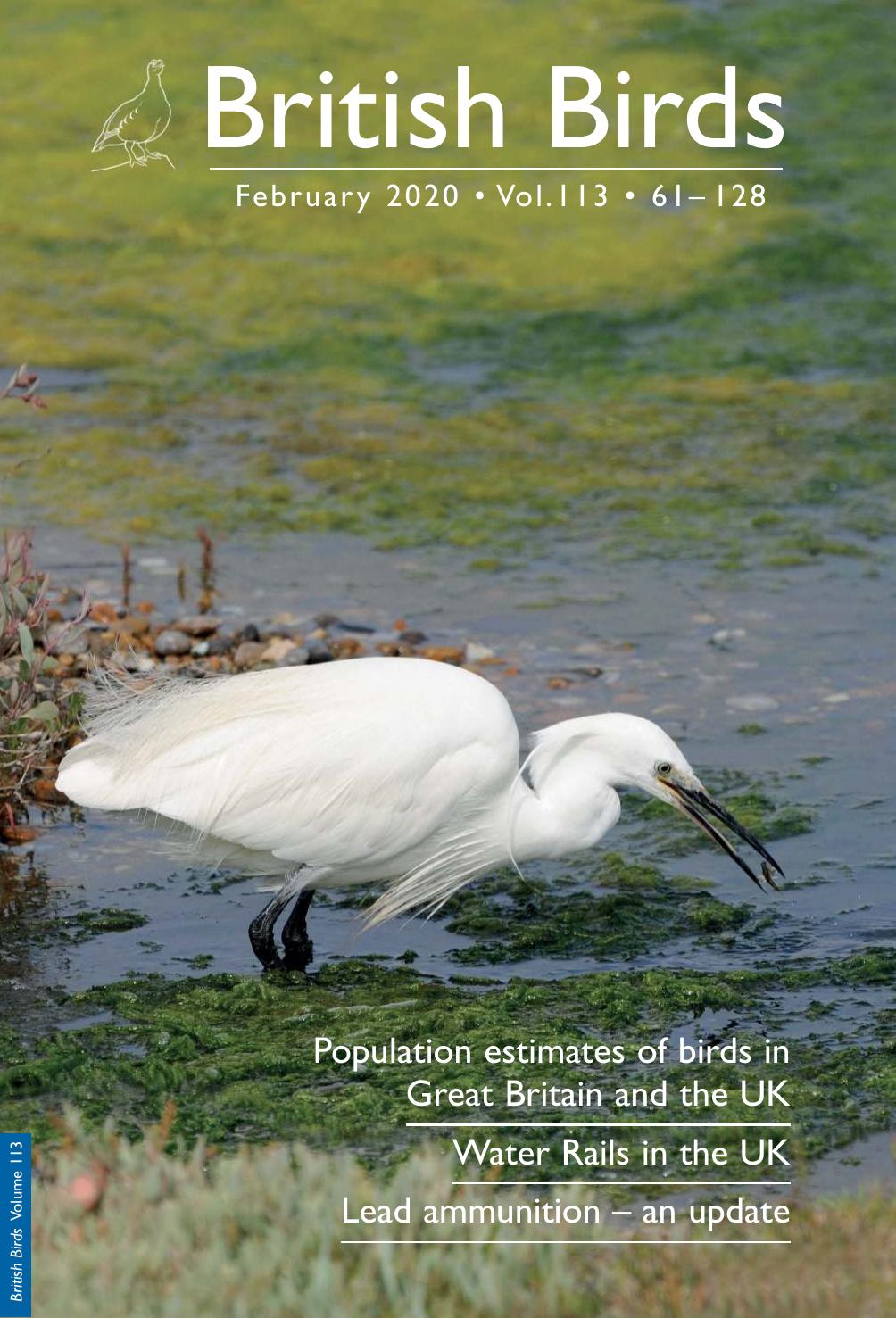 British.Birds-February.2020