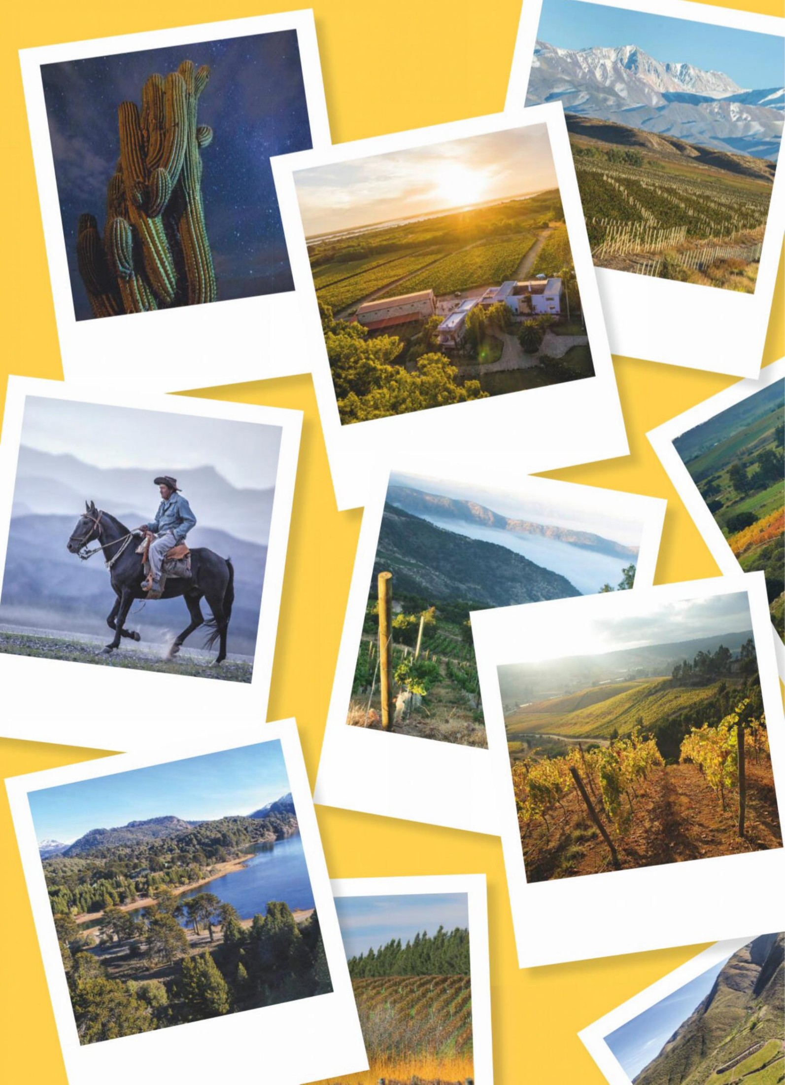 Decanter.UK.TruePDF-April.2020
