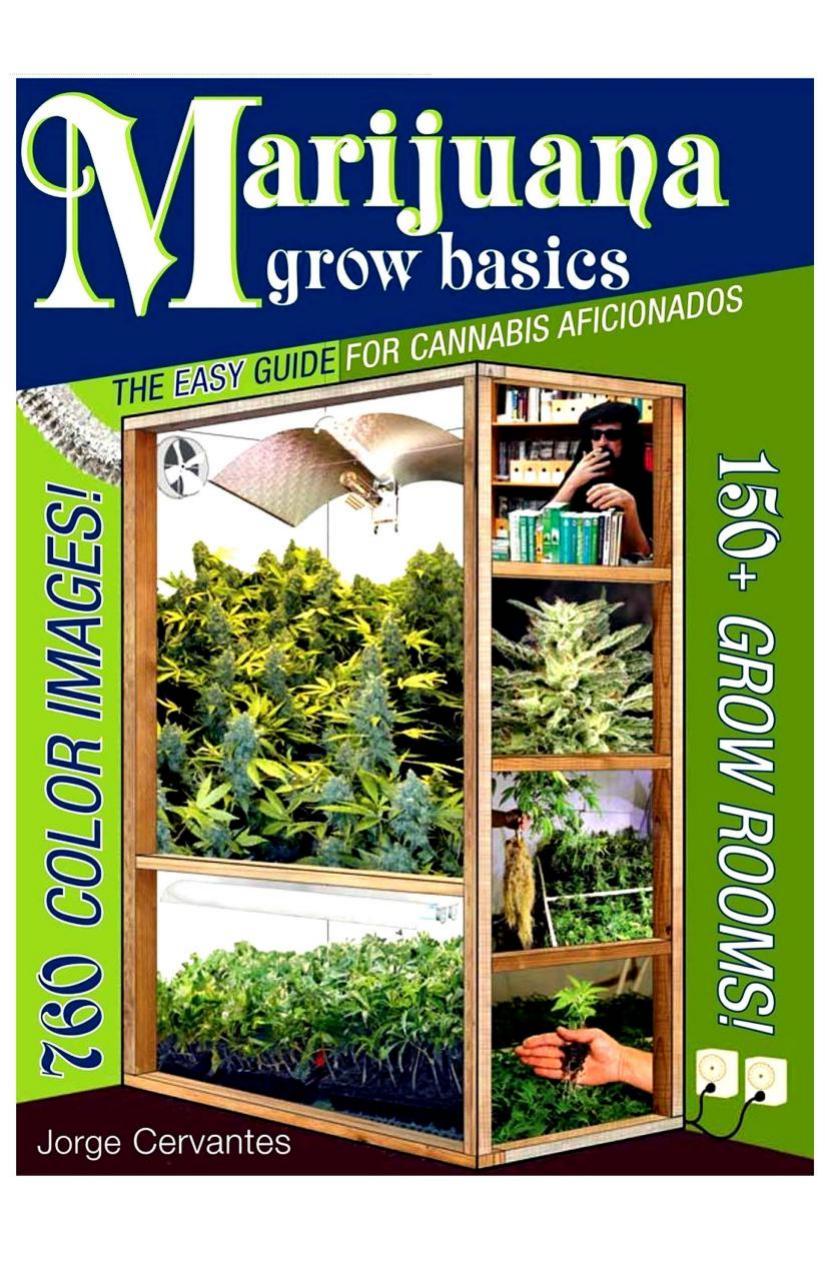 Marijuana Grow Basics