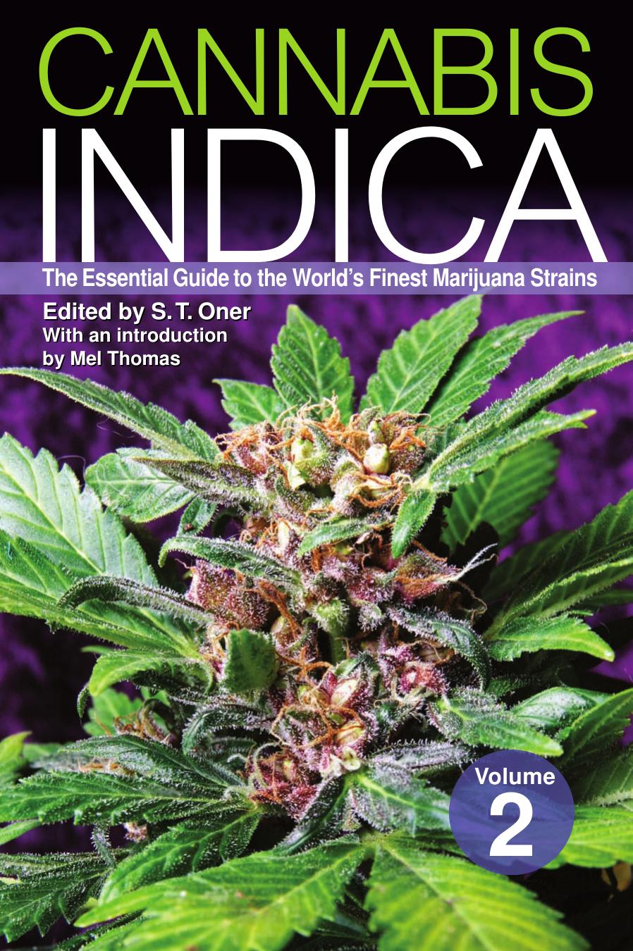 Cannabis Indica Volume 2