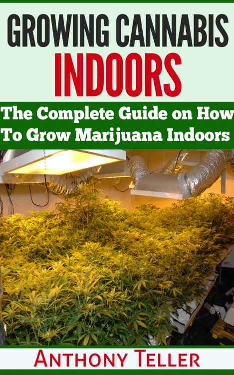 Growing Cannabis Indoors: The Complete Guide on How To Grow Marijuana Indoors