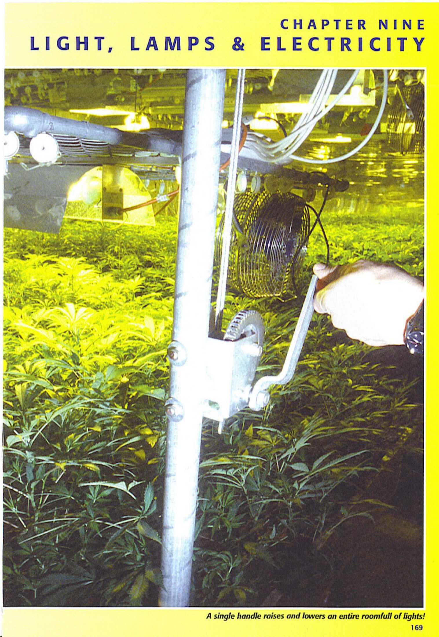 #3Marijuana Horticulture The Indoor-Outdoor Medical Grower