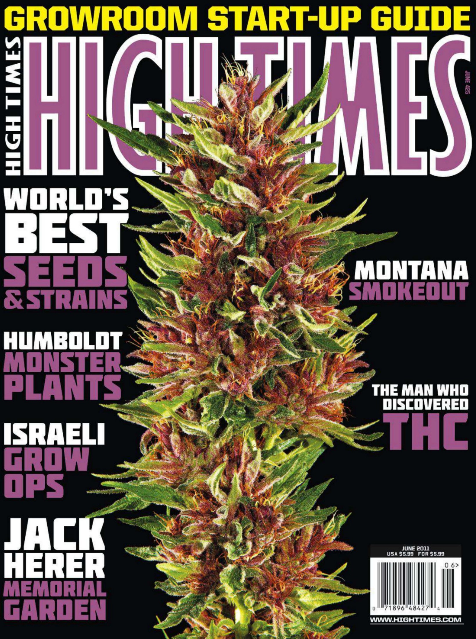 High Times (Issue 425; Growroom Startup Guide)