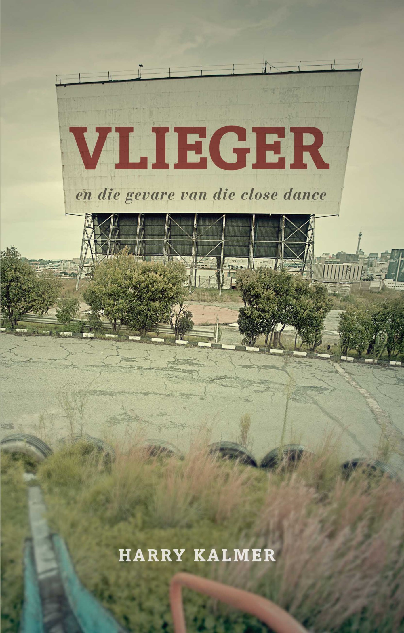 Vlieger