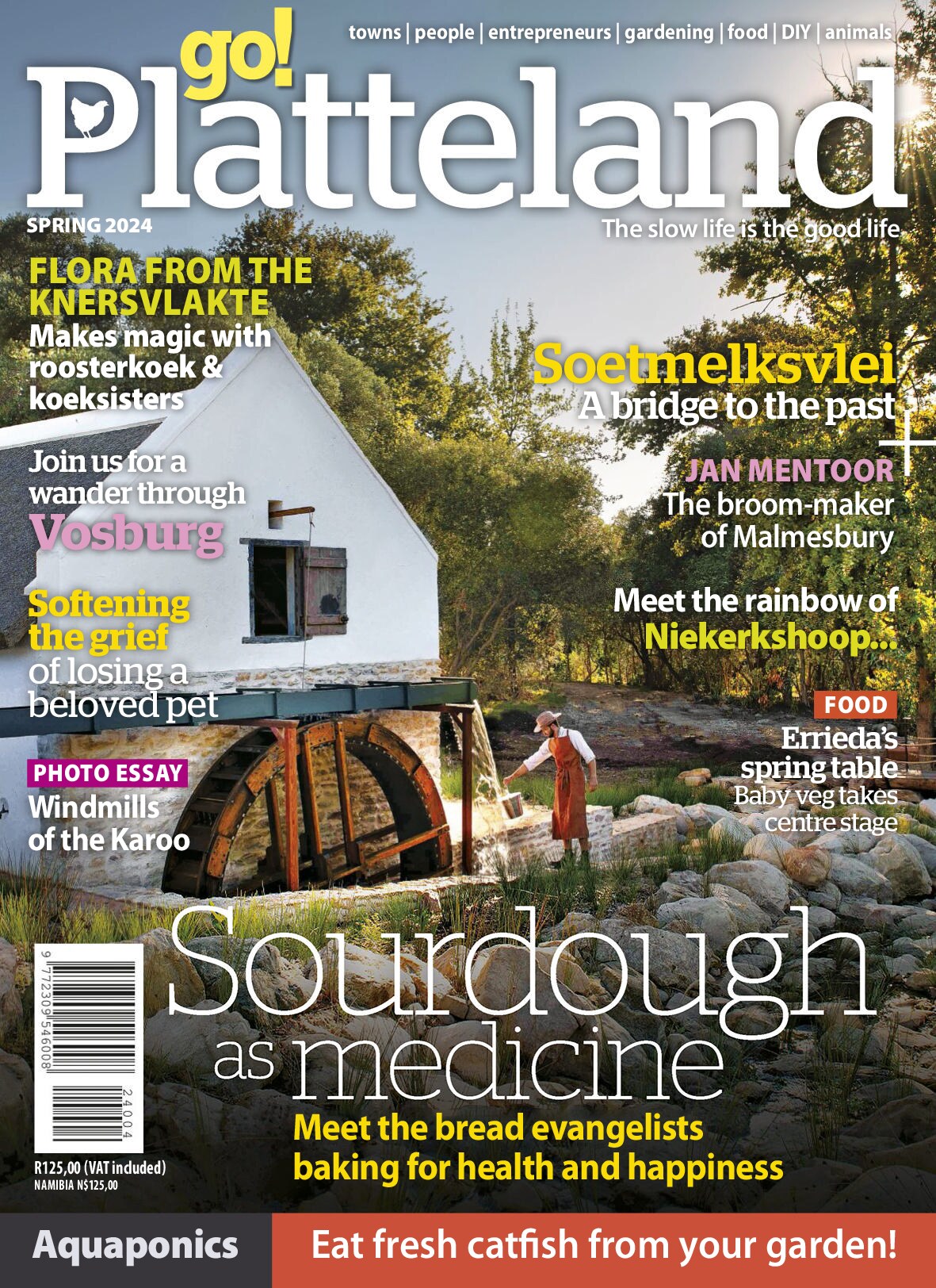 downmagaz.net