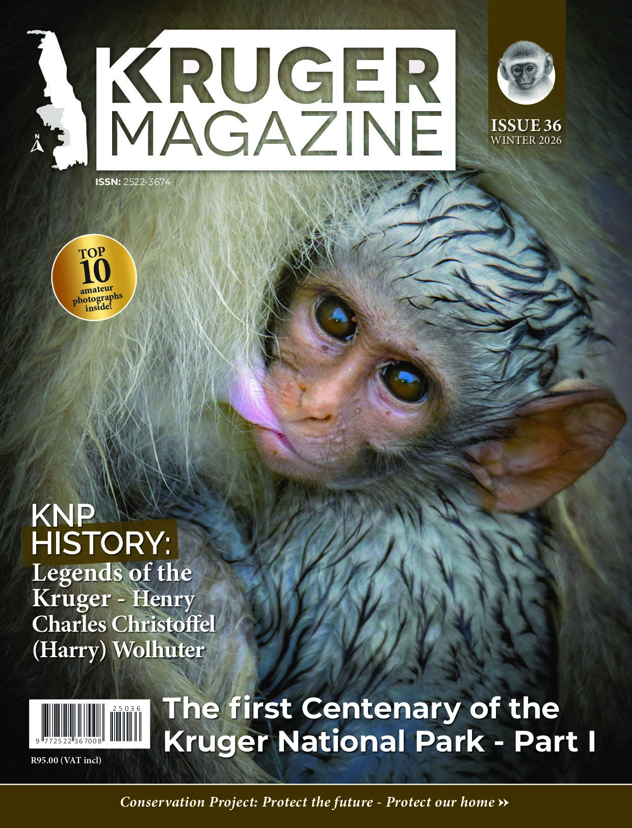 downmagaz.net