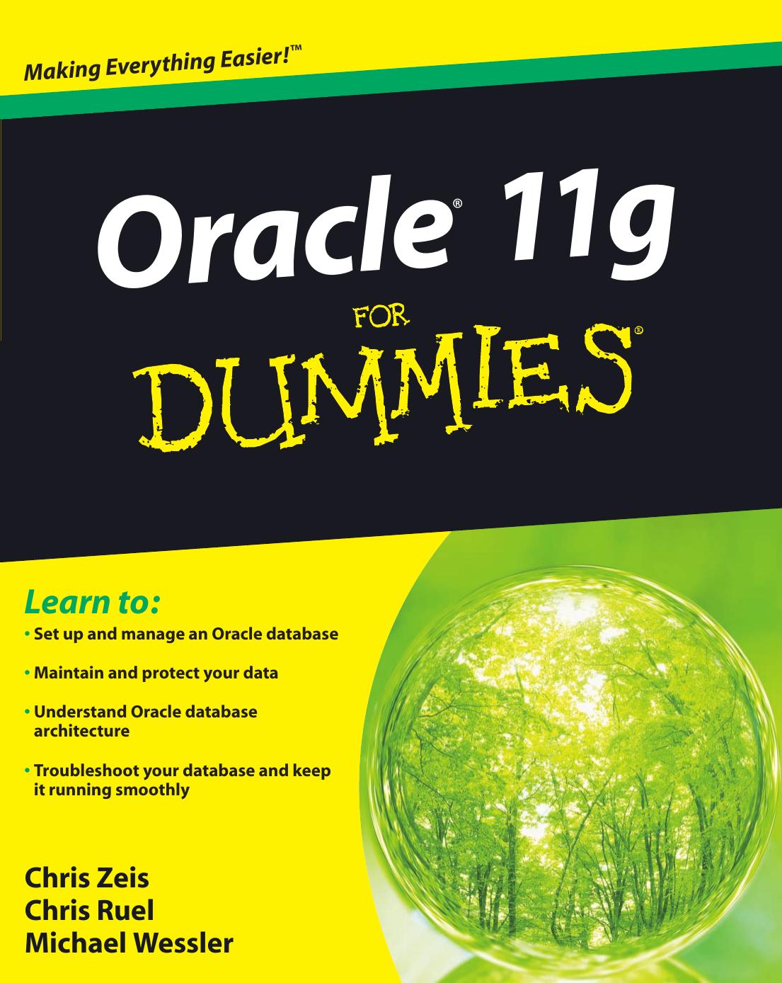 Oracle 11g for Dummies